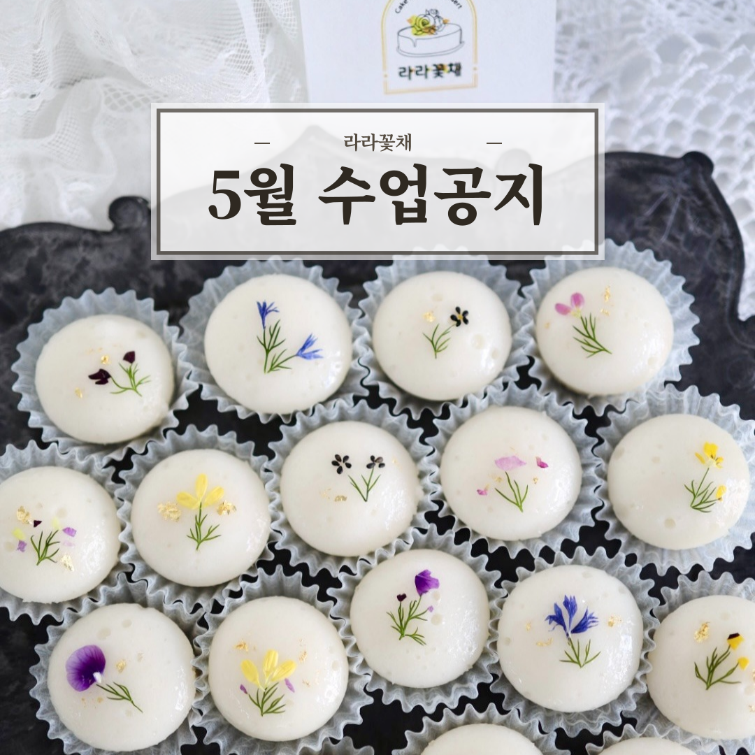 5월 원데이 수업 공지