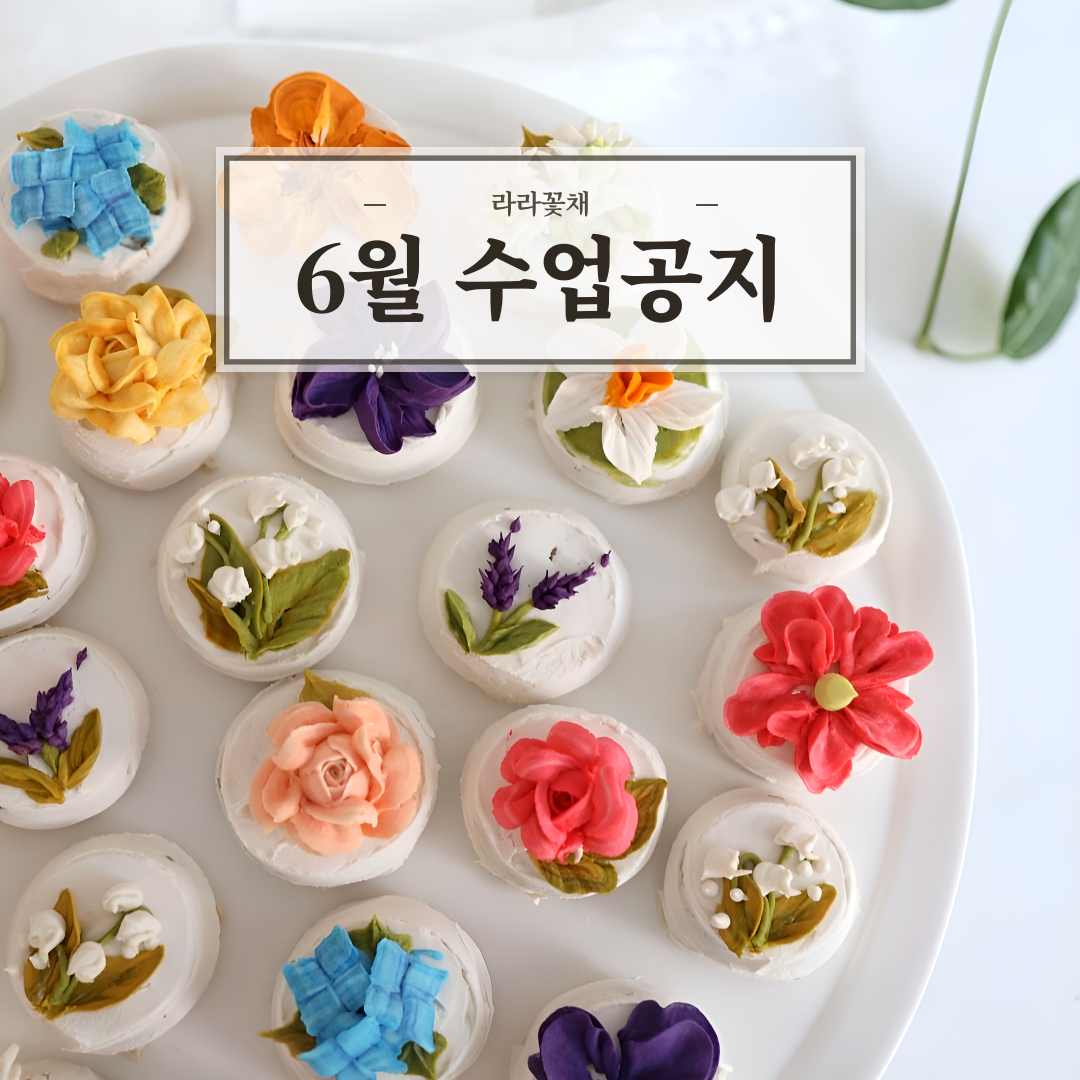6월 원데이 수업 공지