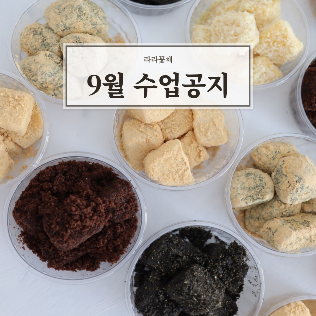9월 원데이 수업 공지