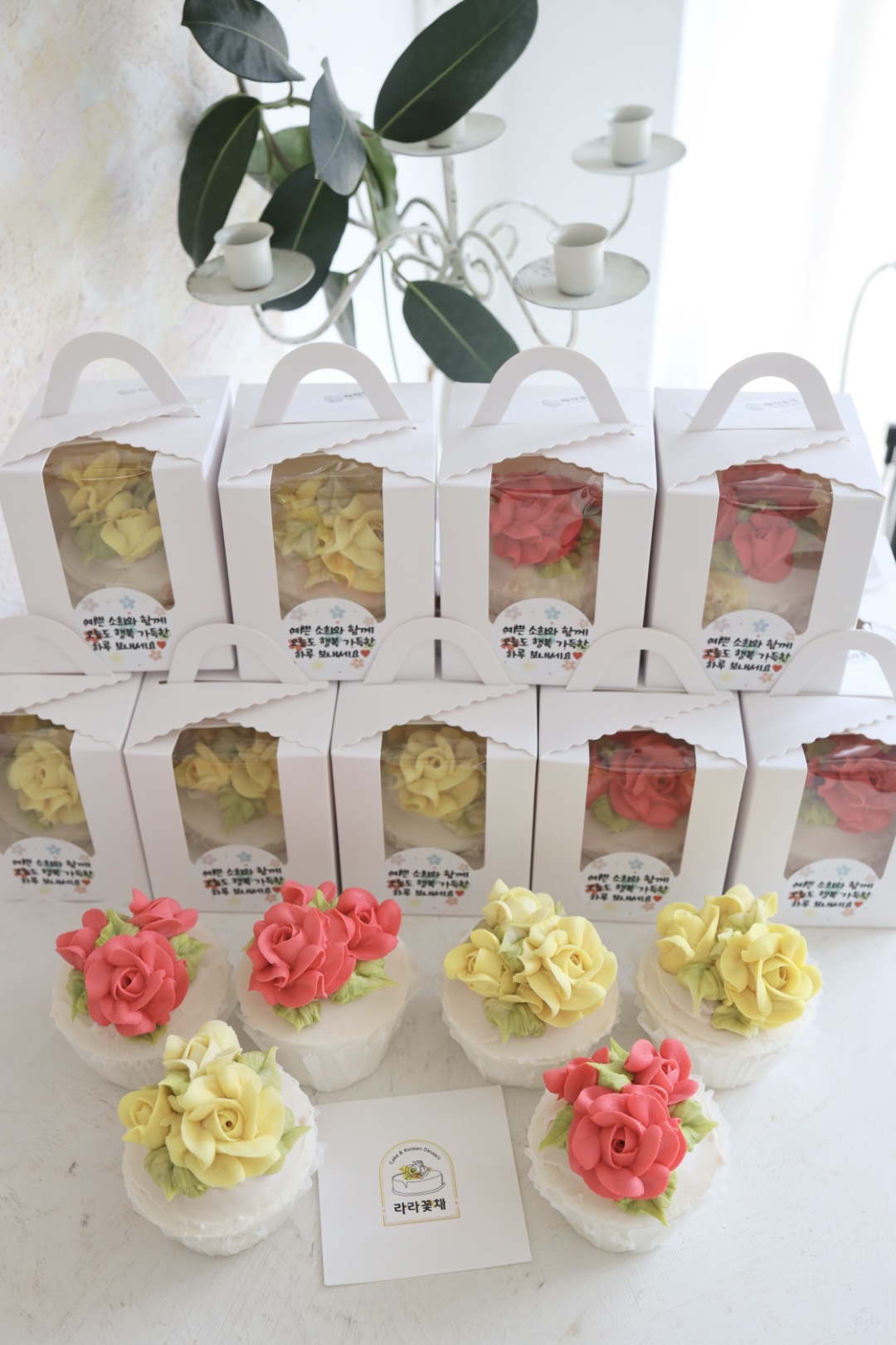 장미 컵설기 20개